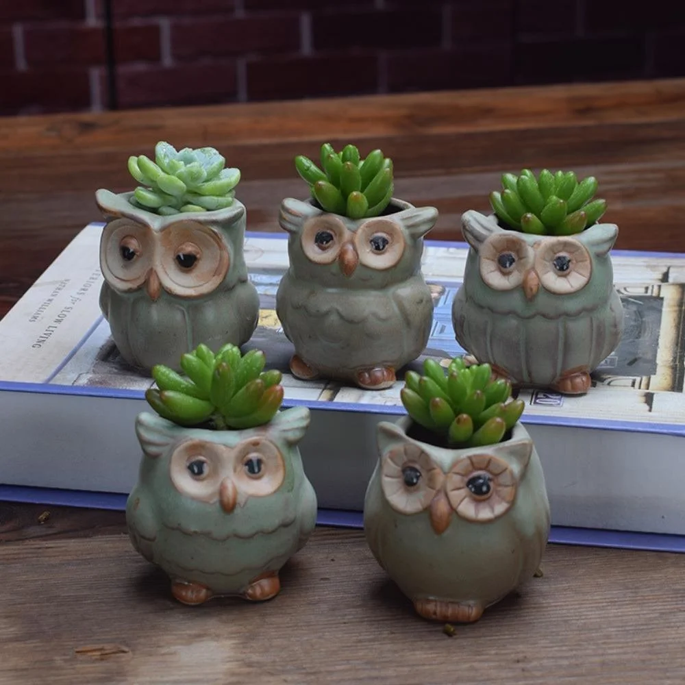 Mini Cactus Planter Flower Pot Planter Owl Ceramic Succulent Plant Pots Indoor Window Herb Flower Pot Container Wyz20603